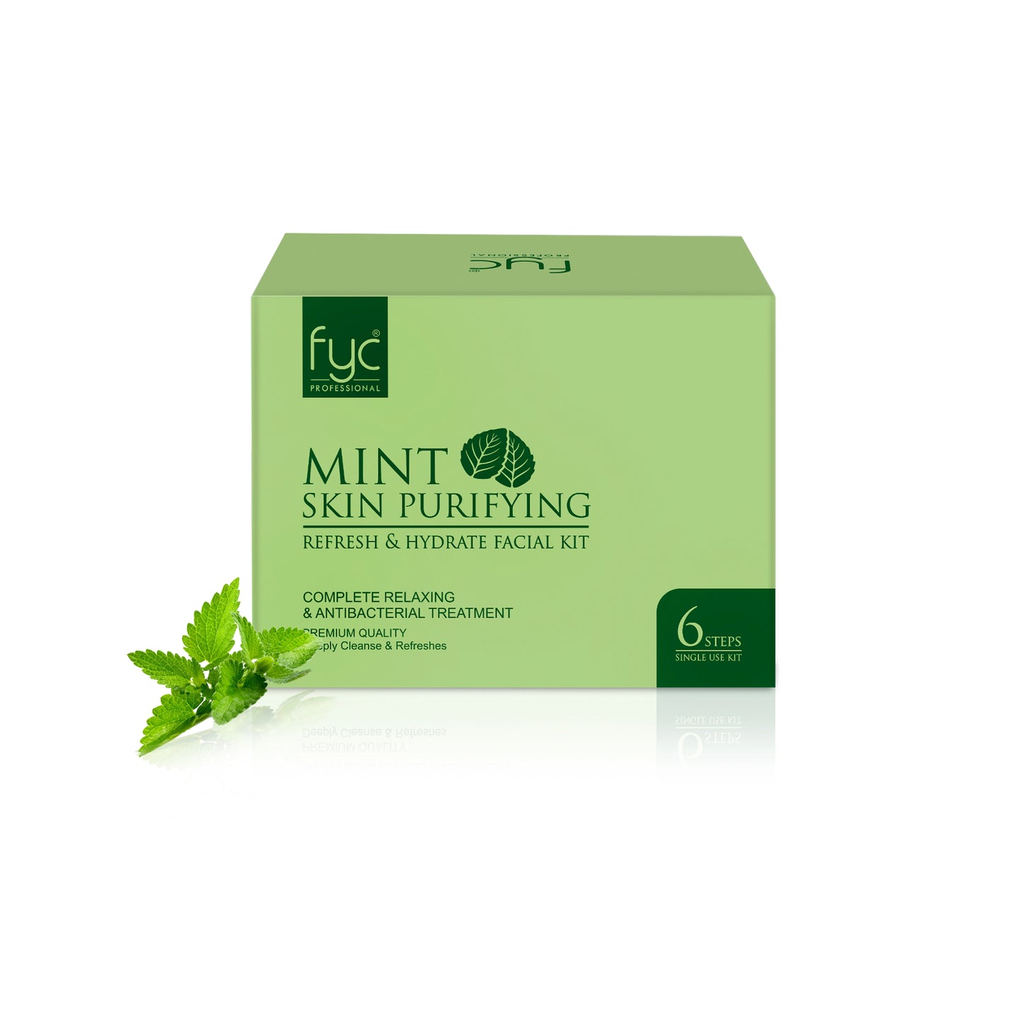 Mint Facial Kit